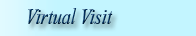 Virtual Visit